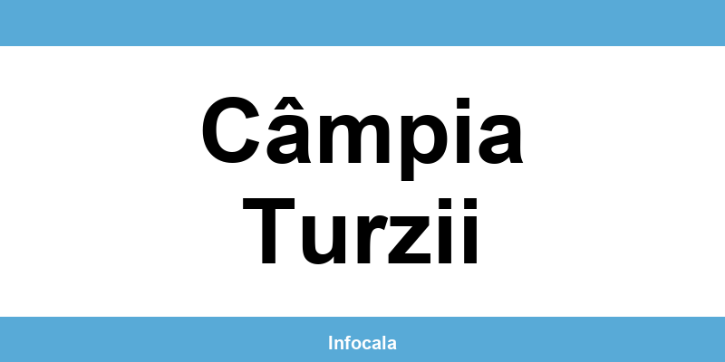 Poliția Locală Câmpia Turzii – contact și telefon