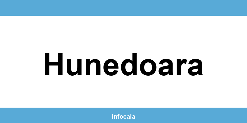 Poliția Locală Hunedoara – contact și telefon