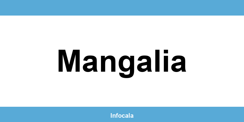 Poliția Locală Mangalia – contact și telefon