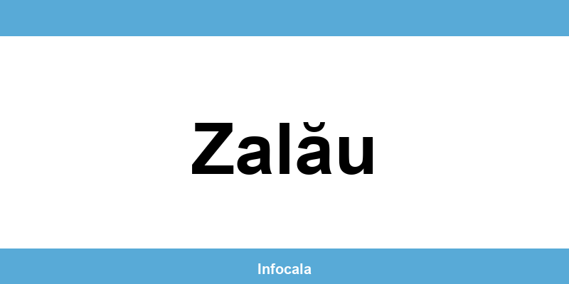 Poliția Locală Zalău – contact și telefon