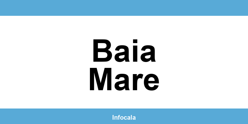 Poliția Locală Baia Mare – contact și telefon