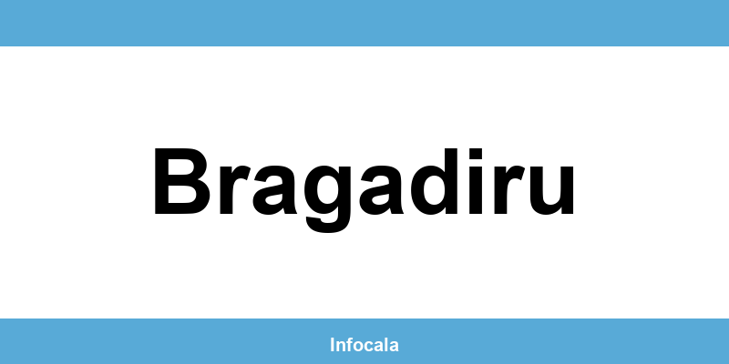 Poliția Locală Bragadiru – contact și telefon