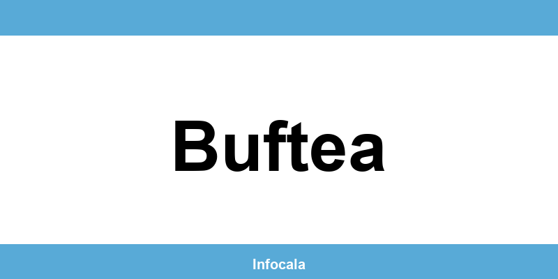 Poliția Locală Buftea – contact și telefon