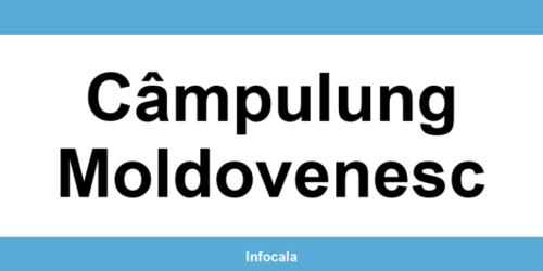 Poliția Locală Câmpulung Moldovenesc – contact și telefon