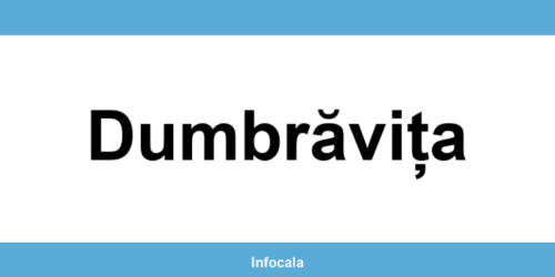 Poliția Locală Dumbrăvița – contact și telefon