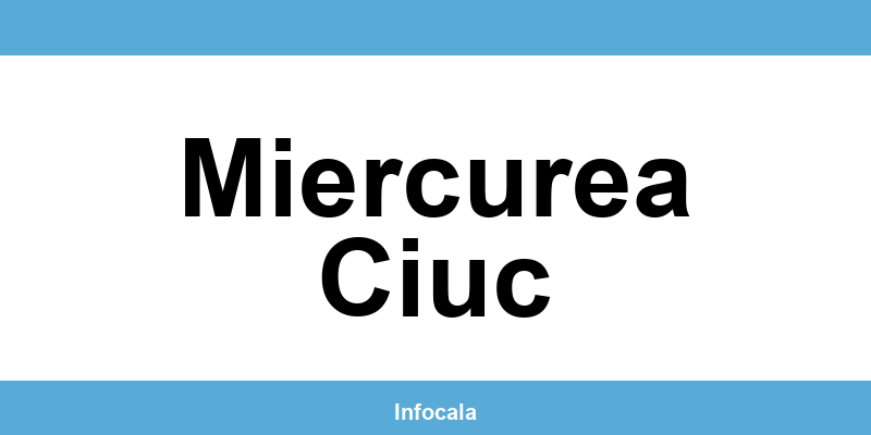 Poliția Locală Miercurea Ciuc – contact și telefon