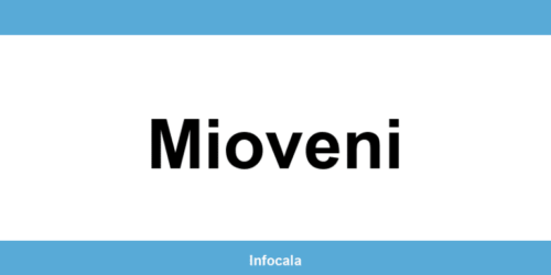 Poliția Locală Mioveni – contact și telefon