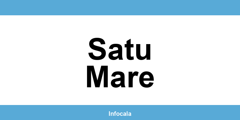 Poliția Locală Satu Mare – contact și telefon